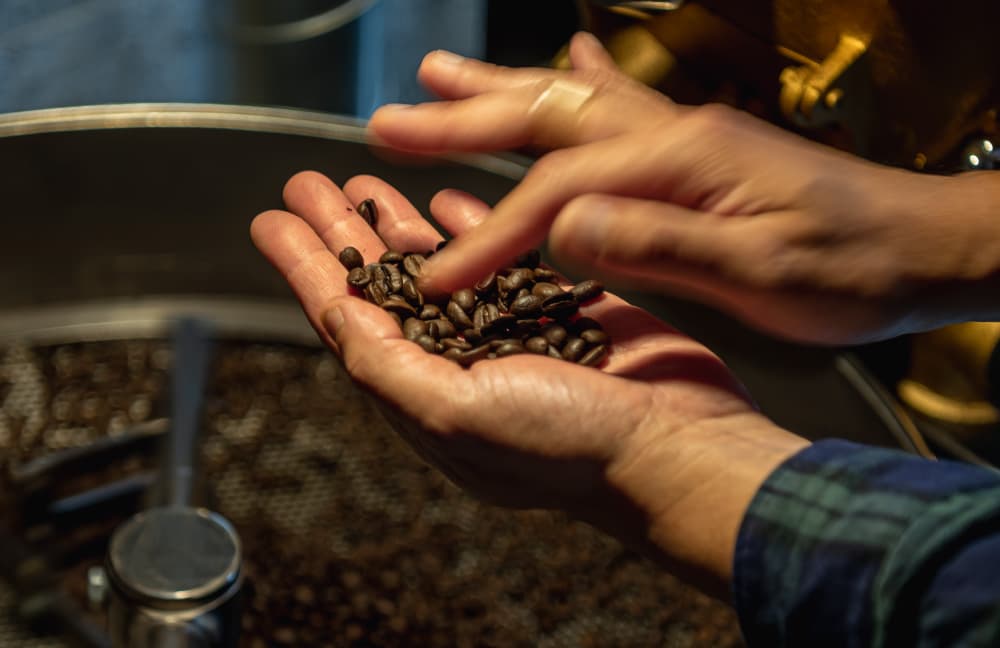 自家焙煎珈琲とぷりんのお店 35STOCK STAND